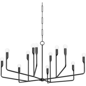 Norman 12 Light 42 inch Forged Iron Chandelier Ceiling Light