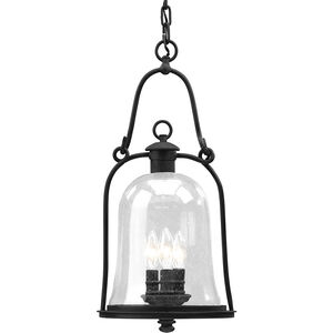 Owings Mill 3 Light 10 inch Textured Black Indoor Lantern Ceiling Light