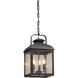 Chamberlain 3 Light 10 inch Vintage Bronze Outdoor Pendant