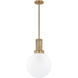 Tobias 1 Light 11.75 inch Pendant