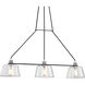 Audiophile 3 Light 43 inch Old Silver Polished Aluminum Linear Ceiling Light