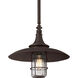 Allegheny 1 Light 16.25 inch Heritage Bronze Outdoor Pendant