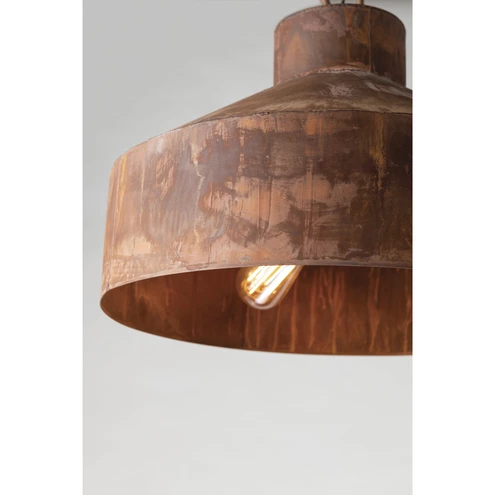Rust Ceilng Light Troy Lighting F5263-RP Rise & Shine 3 Light 18 inch Rust Patina Pendant ...