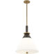 Staton 1 Light 16 inch Patina Brass and Bronze Pendant Ceiling Light