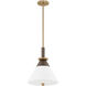 Staton 1 Light 12 inch Patina Brass and Bronze Pendant Ceiling Light