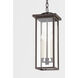 Eden 3 Light 8 inch Textured Bronze Outdoor Pendant