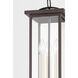 Eden 3 Light 8 inch Textured Bronze Outdoor Pendant