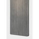 Tempe 1 Light 17 inch Graphite Outdoor Wall Sconce