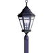 Morgan Hill 3 Light 28 inch Natural Rust Post