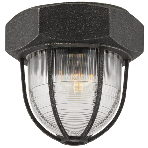 Troy Lighting C3890 APW Acme 1 Light 8.5 inch Aged Pewter Flush Mount Ceiling Light