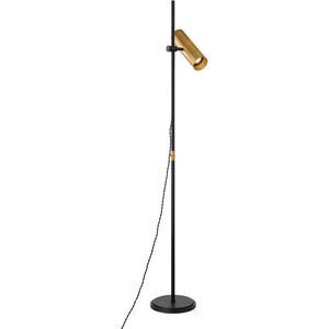 Quinn 65 inch 15.00 watt Patina Brass/Soft Black Floor Lamp Portable Light