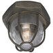 Acme 1 Light 8.5 inch Aged Pewter Flush Mount Ceiling Light