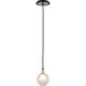 Andromeda 1 Light 5 inch Carbide Black With Polished Nickel Accents Pendant Ceiling Light