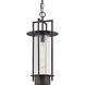 Carroll Park 1 Light 10.5 inch Textured Bronze Indoor Lantern Ceiling Light