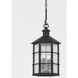 Lake County 4 Light 12 inch French Iron Outdoor Pendant