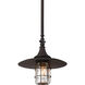 Allegheny 1 Light 13 inch Heritage Bronze Outdoor Pendant