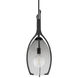 Pacifica 1 Light 13 inch Forged Iron Pendant Ceiling Light