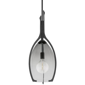 Pacifica 1 Light 13 inch Forged Iron Pendant Ceiling Light