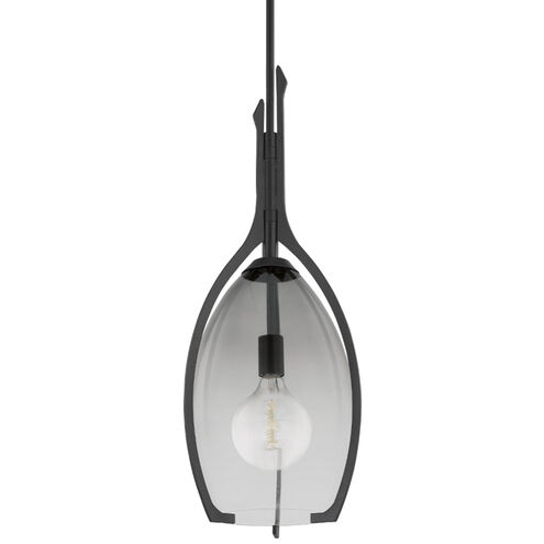 Pacifica 1 Light 13 inch Forged Iron Pendant Ceiling Light