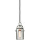 Citizen 1 Light 4.75 inch Graphite and Polished Nickel Pendant Ceiling Light