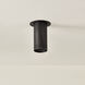 Berg 1 Light 4.75 inch Bronze Flush Mount Ceiling Light