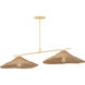 Valier 2 Light 56.25 inch Vintage Gold Leaf Island Light Ceiling Light