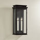 Louie 2 Light 9 inch Forged Iron Wall Sconce Wall Light