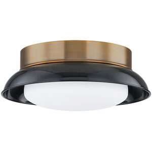 Arnie Flush Mount Ceiling Light in Patina Brass and Gloss Black
