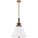 Staton 1 Light 16 inch Patina Brass and Bronze Pendant Ceiling Light