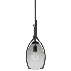 Pacifica 1 Light 9 inch Forged Iron Pendant Ceiling Light