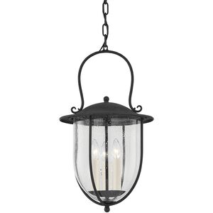 Monterey County 3 Light 13 inch French Iron Exterior Pendant, Small