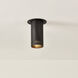 Berg 1 Light 4.75 inch Bronze Flush Mount Ceiling Light