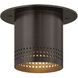 Berg 1 Light 4.75 inch Bronze Flush Mount Ceiling Light
