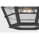 Lake County 2 Light 14 inch French Iron Flush Mount Ceiling Light