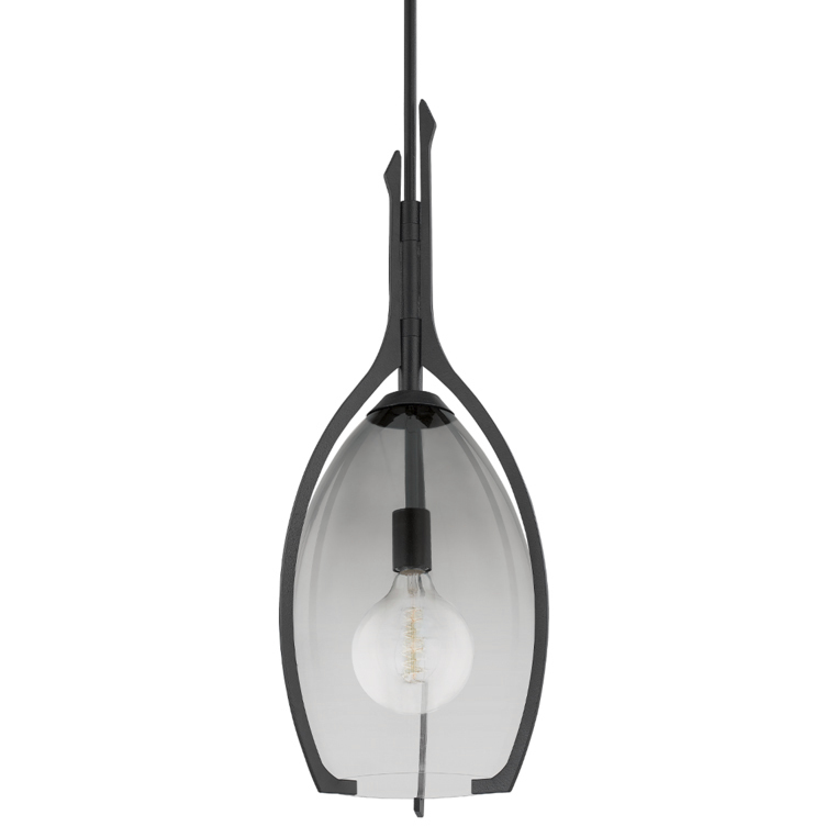 Pacifica 1 Light 12.5 inch Forged Iron Pendant Ceiling Light